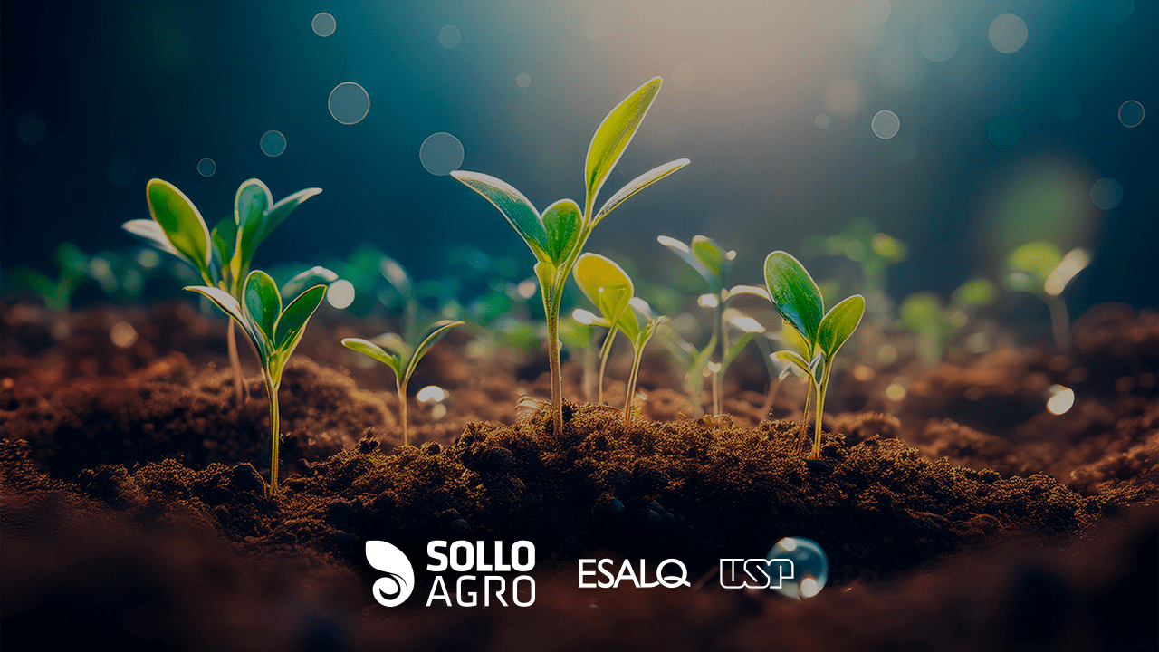 Qualidade do solo entenda o conceito e quais indicadores usar Qualidade do solo: entenda o conceito e quais indicadores usar