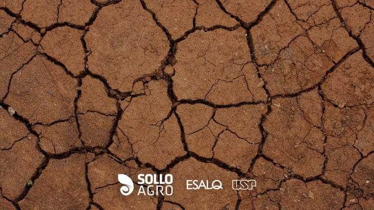 Conservação do solo: riscos da erosão e compactação