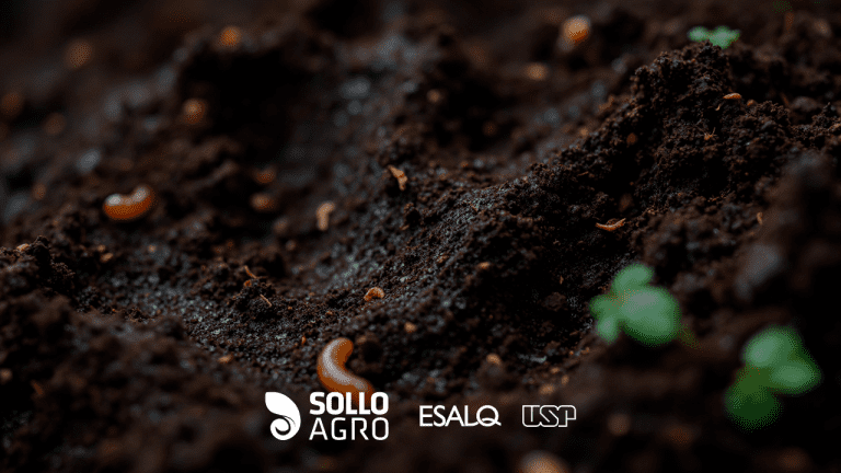 Influência das mudanças climáticas na microbiota do solo