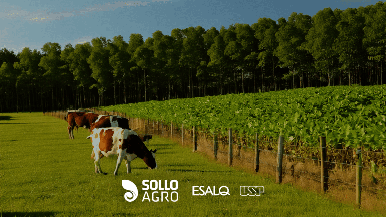 Pesquisa realizada na ESALQ/USP – Qualidade do solo em sistemas de integração