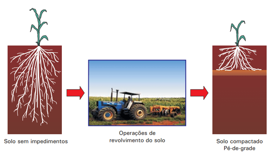 Conservação do solo: riscos da erosão e compactação (imagem 3)