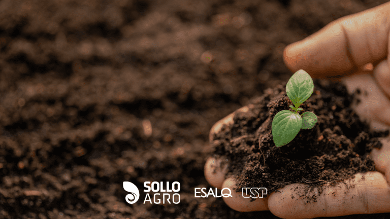 Dia Mundial do Solo: Importância, Funções e Classificação