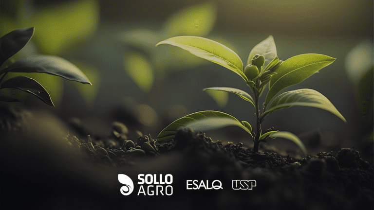 Agricultura Regenerativa como Estratégia para o Sequestro de Carbono