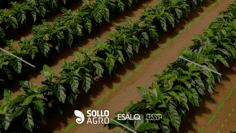Estudo_de_caso_sobre_agricultura_de_precisao_em_talhoes_cafeeiros Pesquisa realizada na ESALQ/USP – Estudo de caso sobre agricultura de precisão em talhões cafeeiros