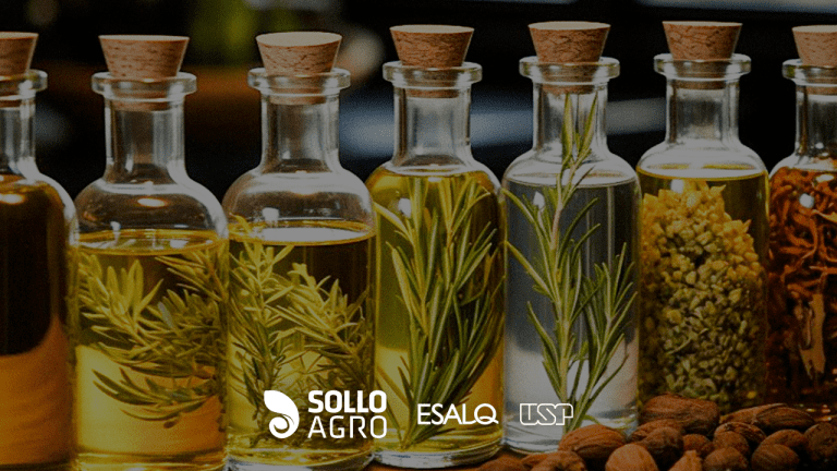 Uso_de_oleos_essenciais_na_agricultura Uso de óleos essenciais na agricultura