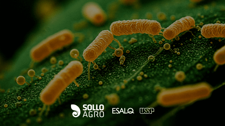 Bioinsumos_e_rentabilidade__Vale_a_pena_usar Bioinsumos e rentabilidade: Vale a pena usar?
