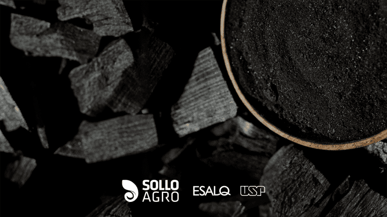 Mobilidade_e_estabilidade_termica_de_carbono_em_latossolo_condicionado_com_micro_e_nanobiocarvao Bate-papo com nova geração de pesquisadores