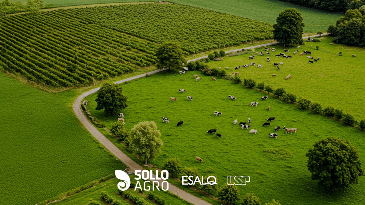 Balanco_de_Nutrientes_em_Sistemas_Integrados_de_Producao Balanço de nutrientes em sistemas integrados: estratégias para sustentabilidade agrícola