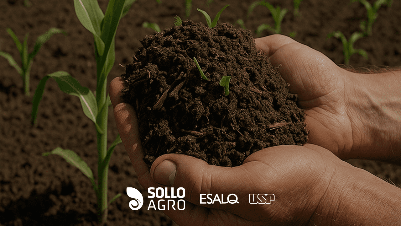 O_papel_da_materia_organica_do_solo_na_produtividade_agricola O papel da matéria orgânica do solo na produtividade agrícola