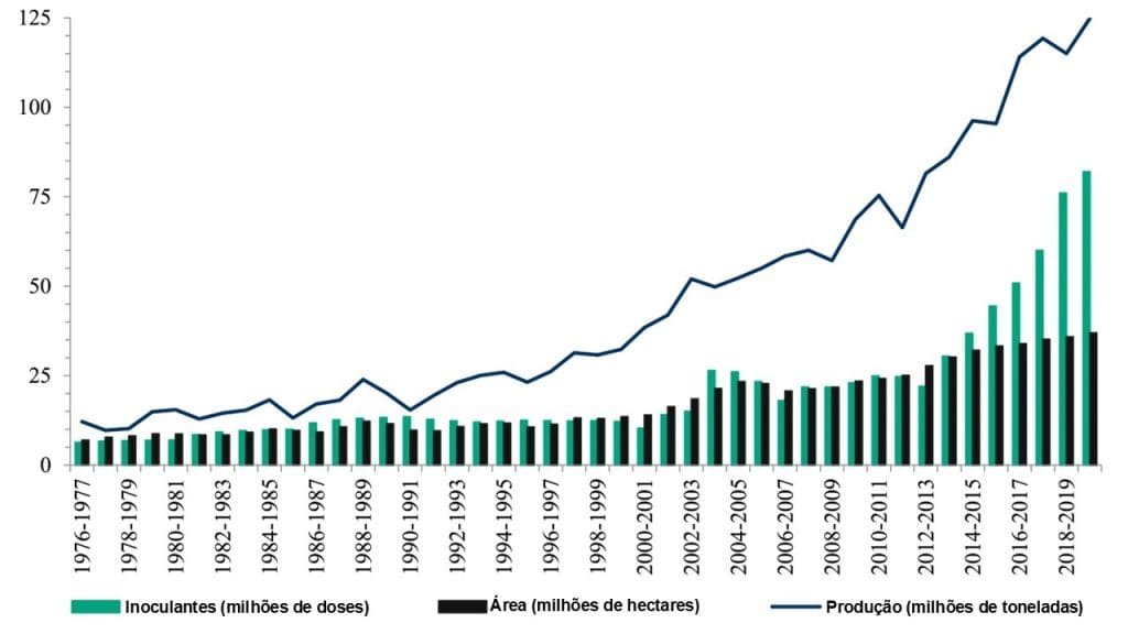 Fixação biológica de nitrogênio: a tecnologia invisível que faz o Brasil economizar bilhões de dólares