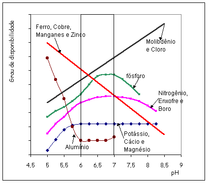Você sabe o que é a calagem?