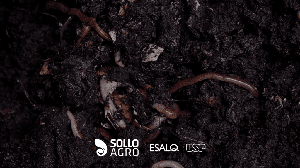 Funções do solo e indicadores de qualidade: o que monitorar para aumentar a sustentabilidade agrícola