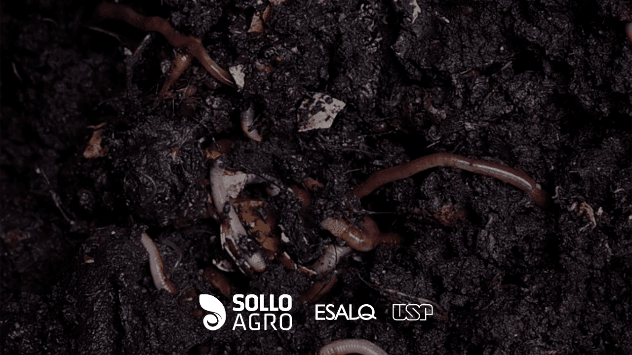 Funções do solo Funções do solo e indicadores de qualidade: o que monitorar para aumentar a sustentabilidade agrícola