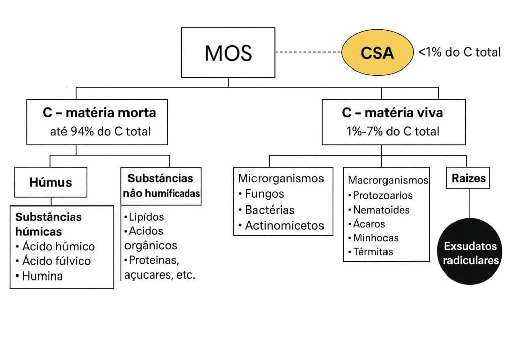 Funções do solo e indicadores de qualidade: o que monitorar para aumentar a sustentabilidade agrícola (imagem 3)