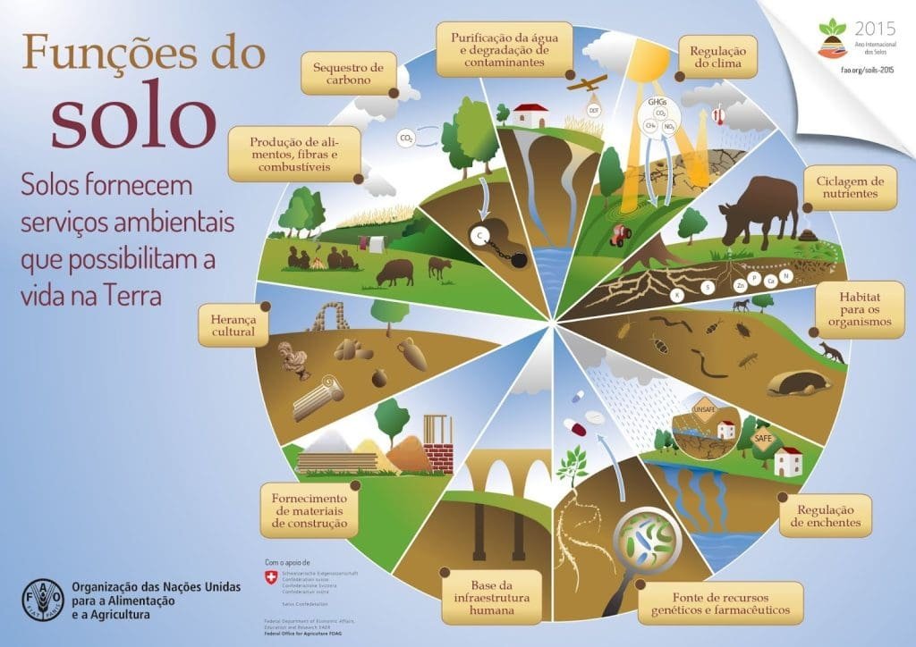 Funções do solo e indicadores de qualidade: o que monitorar para aumentar a sustentabilidade agrícola