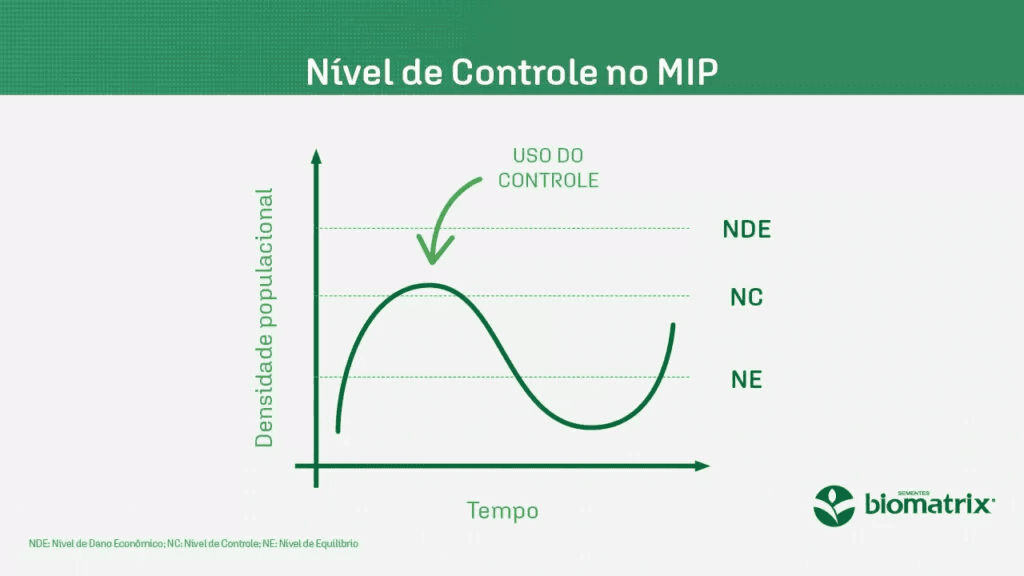 Fitossanidade inteligente: como blindar sua lavoura (imagem 4)