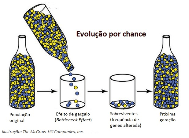 Manejo da resistência: 4 fundamentos da fitossanidade
