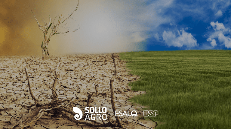 O papel do solo na regulação do climática
