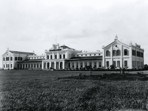 ESALQ 125 anos: formação, ciência e extensão no agro (imagem 3)