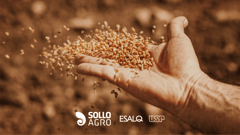 Inoculação antes da semeadura: como evitar perdas de eficiência