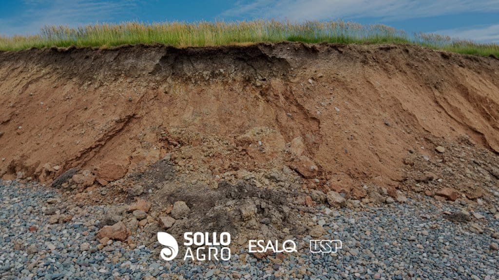 Compactação do solo: quando ela realmente limita a lavoura?